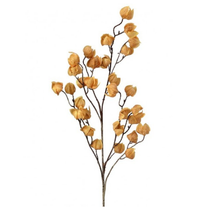 Golden Chinese Lantern Spray - 39"