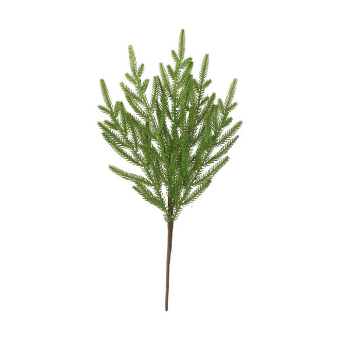 Norfolk Pine Pick - 18"