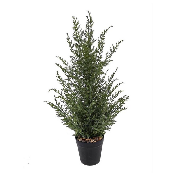 Pine Tree in Black Pot - 24"