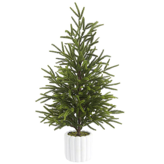 27" Cypress Tree in White Ribbed Pot