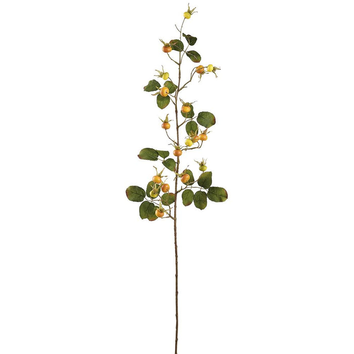 Yellow & Orange Rosehip Spray - 41"