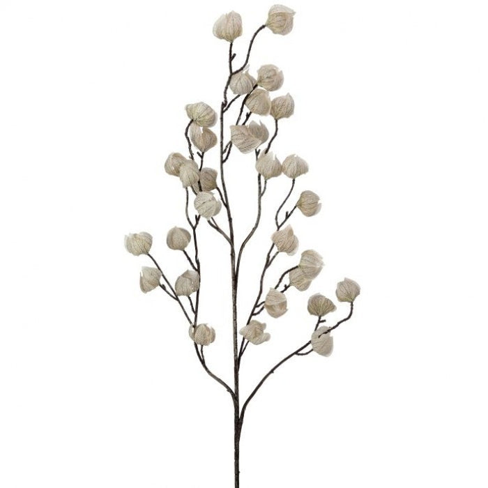 Cream Brown Chinese Lantern Spray - 39"