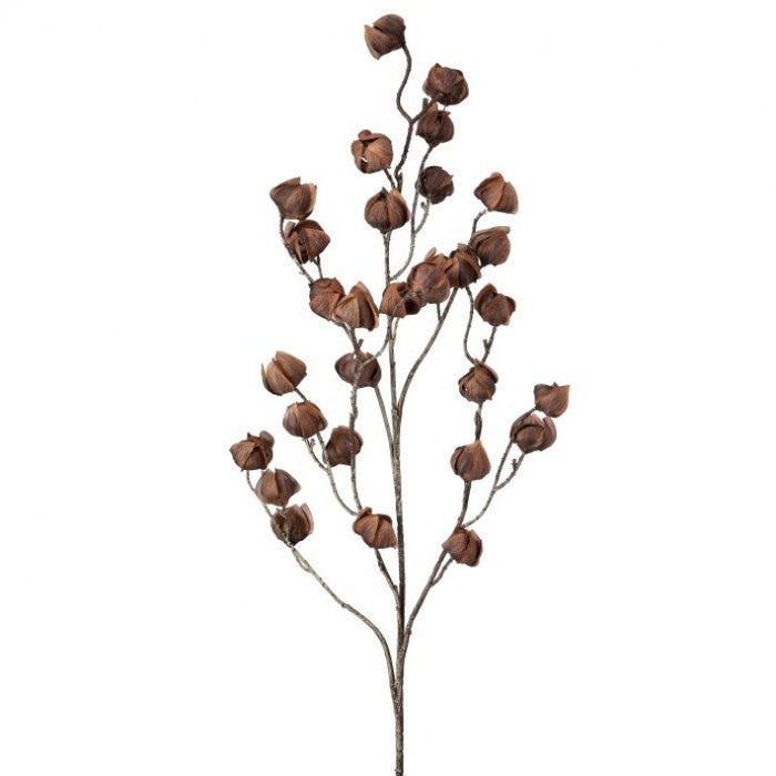 Nutmeg Chinese Lantern Spray - 39"