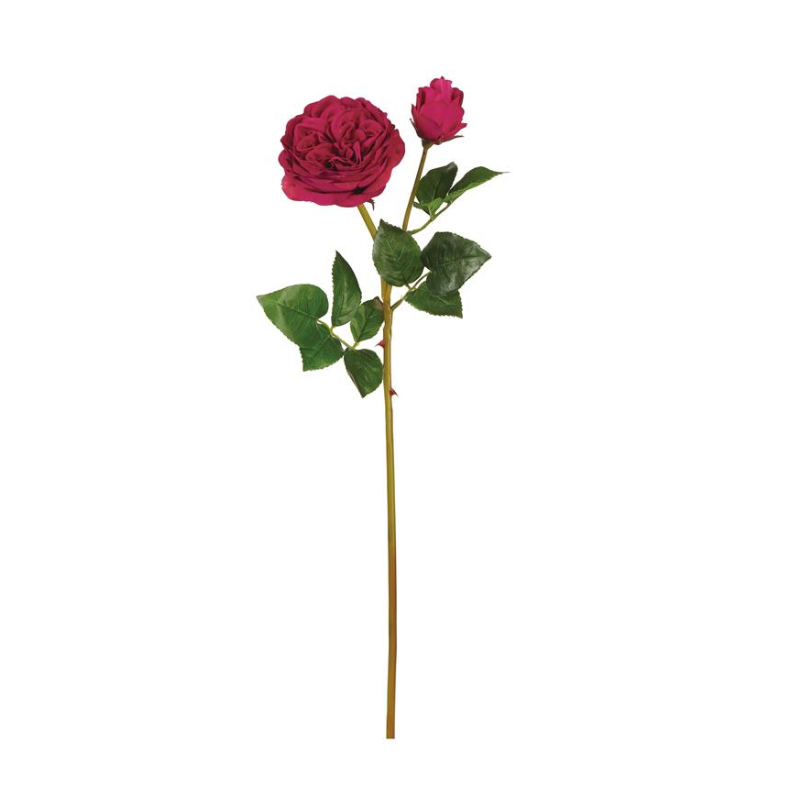 Red Cabbage Rose w/ Bud - 24