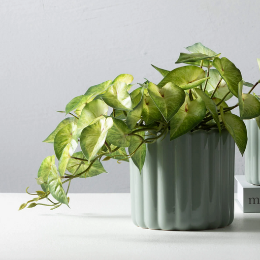 large ribbed plant pot Large Green Ribbed Planter