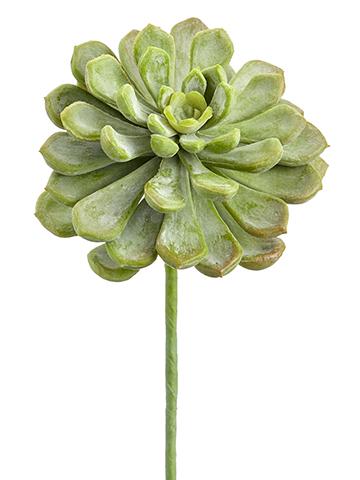 real touch succulents Baby Aeonium Real Touch Pick